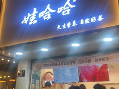 门面-娃哈哈·奶茶(武林店)