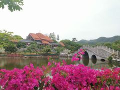 -大屏嶂森林公园