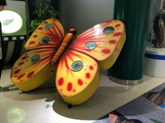 -上海昆虫博物馆