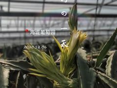 -海堤葡萄园中小学生研学基地