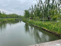 -溱湖国家湿地公园