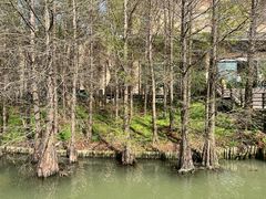 -溱湖国家湿地公园