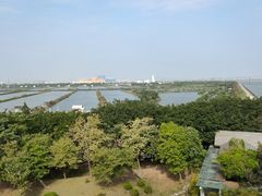 -大湾区中央湿地公园