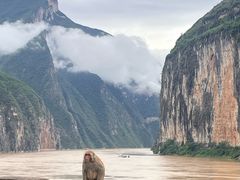 -白帝城·瞿塘峡景区