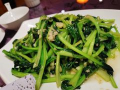 -山东八大碗山东老字号