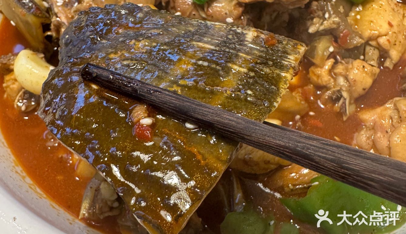 吃甲鱼的专门店  达人甲.砂锅甲鱼