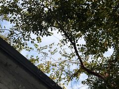 -南普陀寺