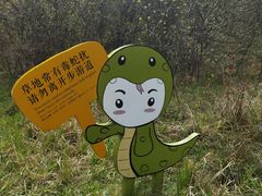-大九湖