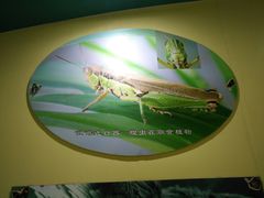 -上海昆虫博物馆
