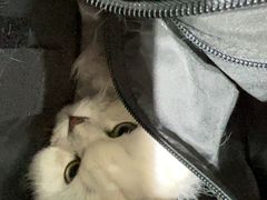 -联合动物医院(光谷诊疗中心)