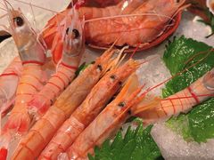 -Mr.Fish鱼鲜生海鲜放题(高德置地冬广场店)