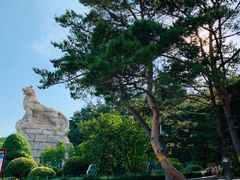 -帽儿山国家森林公园