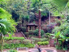 -广东天露山旅游度假区