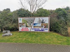 -上海海湾国家森林公园