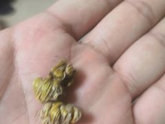 -复兴门(地铁站)