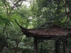 -杭州黄龙洞