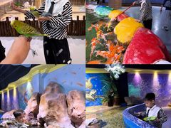 -顺德南宏海立方海洋公园