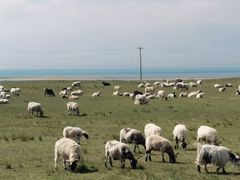 -青海湖国家重点风景名胜区