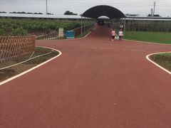 -迪茵湖田家舍生态农场