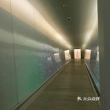 实现自我成长。在这片大面积的临水土地上