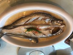 -香浙汇(望京店)