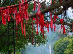 DSC_0356-南沙天后宫景区