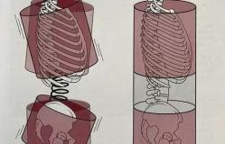 -归位瑜伽&归位普拉提