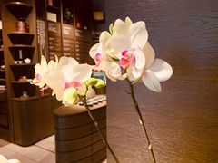 -王德传茶庄(上海新天地店)