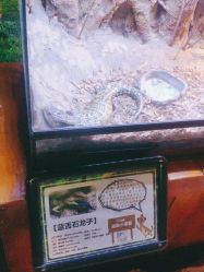 -酷嗒动物文化乐园(cutezoo西溪乐天城店)