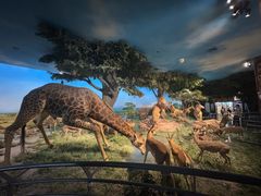 -国家自然博物馆