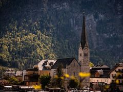 -东吴面馆(中央景城店)