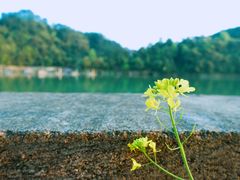 -石潭村