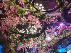 桃花-江湖渔道(万泰汇店)