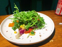 -百好乐宠物友好餐厅(朝外大街店)