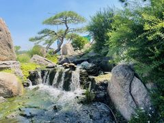 -罗红摄影艺术馆