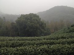 iphone_upload_pic-西湖风景区十里琅珰-五云山