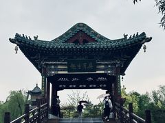 -迎泽公园