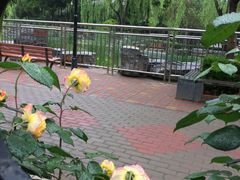-黄村公园
