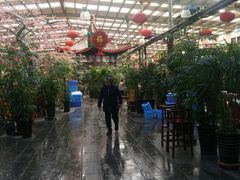 -兴芮温泉度假区