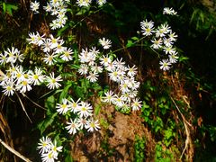 -重庆雨台山风景区