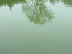 -水绘园