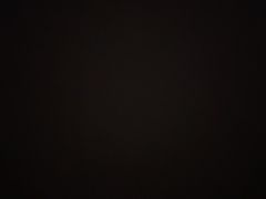 -Thai Basil罗勒叶泰式餐厅(时代天街店)