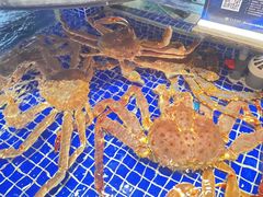 -高佳庄·舟山海鲜(海景旗舰店)