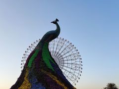 -七彩云南欢乐世界