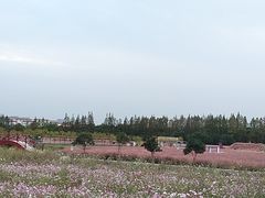 -嘉北郊野公园