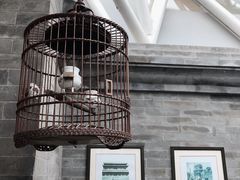 -北京古城老院厉晓麟精致菜