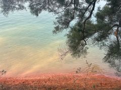 -广州市流溪河国家森林公园