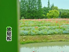 -花开海上生态园