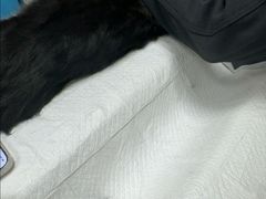 -艾贝尔宠物医院 ·中兽医·宠保定点(北门桥店)