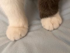 -慕儿姜鸭面江湖菜(七星岗二十年店)